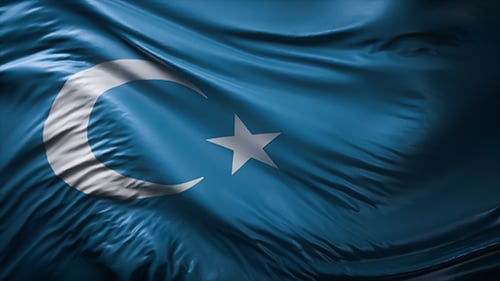 Uyghur Flag - blog