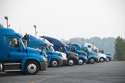 trucks lined up - blog