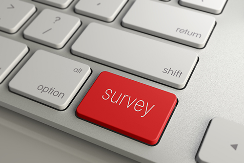 survey keyboard - blog